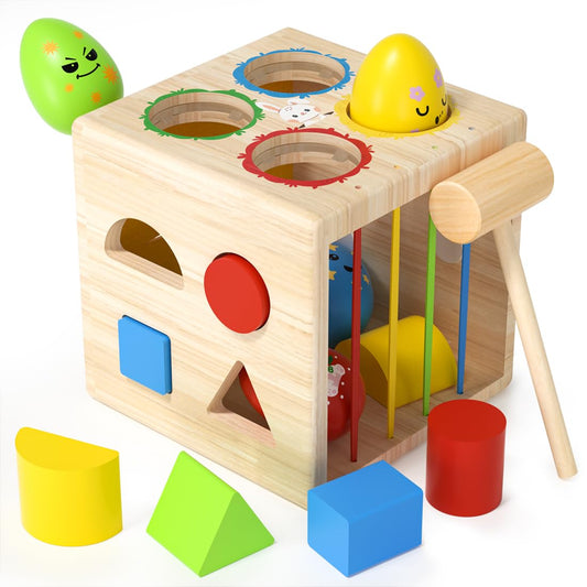 Smart House Geometry Shape Sorter