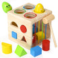 Smart House Geometry Shape Sorter