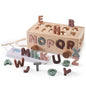Shape Sorter + Silicone Alphabet Flash Cards
