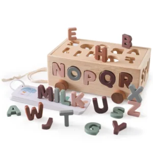 Shape Sorter + Silicone Alphabet Flash Cards